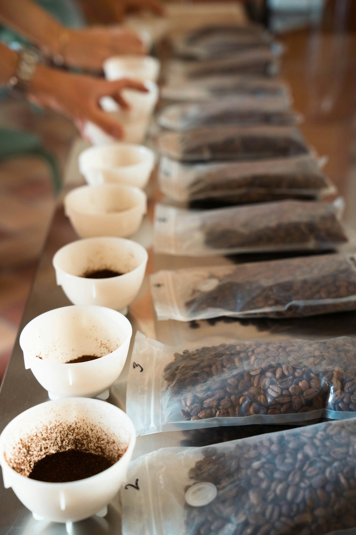 Kaffeeverkostung mit nummerierten Proben und Tassen / Coffee tasting with numbered samples and cups