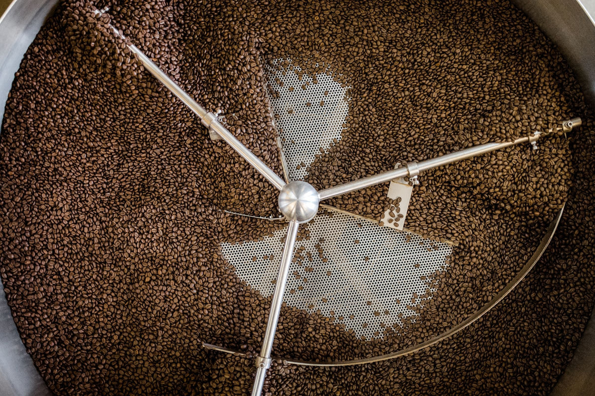 Echte geröstete Kaffeebohnen im Kühlsieb einer Röstmaschine