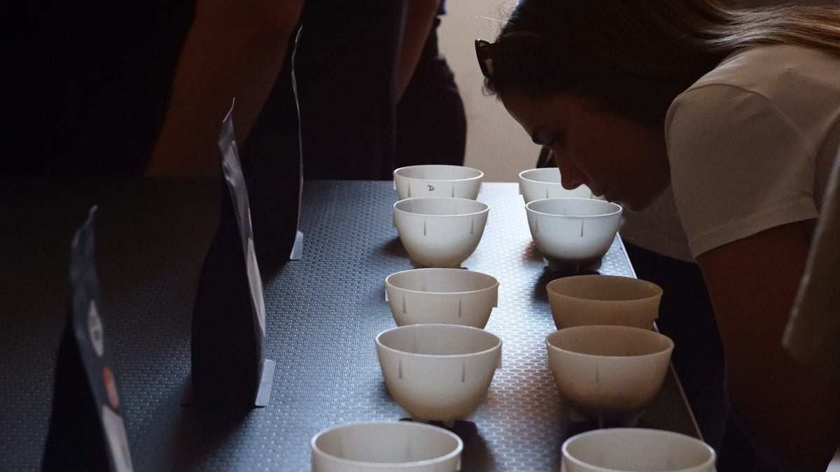 Kaffee sensorisch verstehen – ohne Zungenkarte