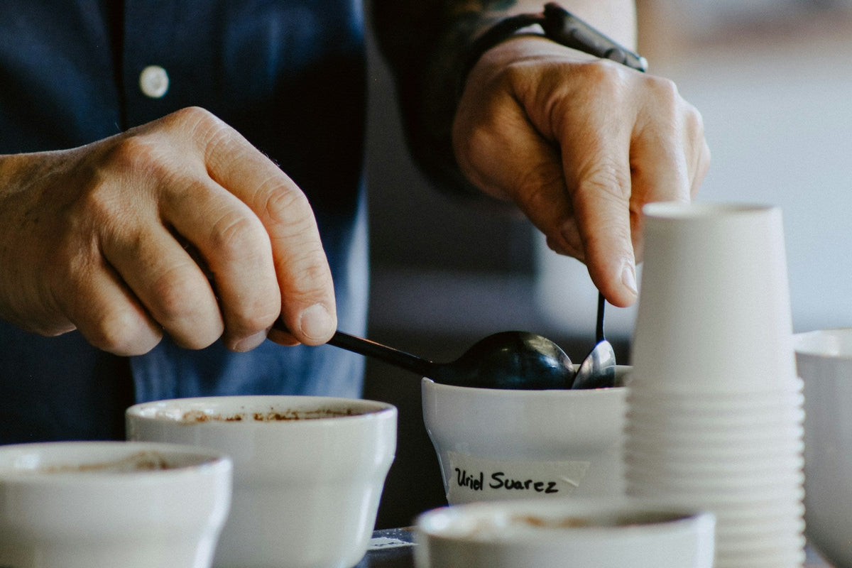 Kaffeeproben werden bei einer gemeinsamen Verkostung mit Löffeln beurteilt
